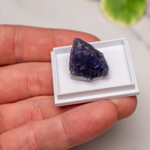 Tanzanite Raw #1