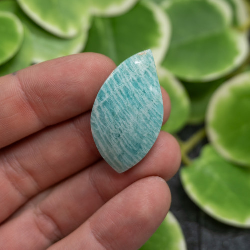 Amazonite Cabachon