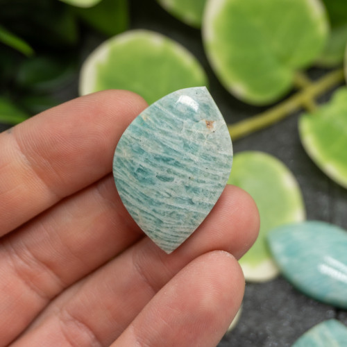 Amazonite Cabachon