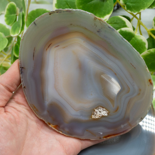 Banded Agate Polished Slice