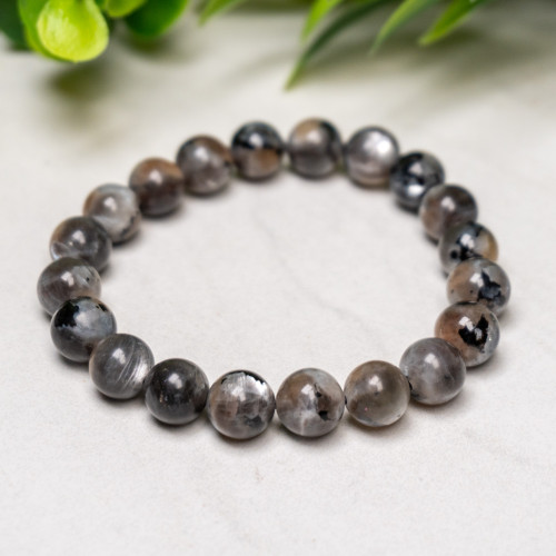 Dalmatian Moonstone Bracelet 10mm