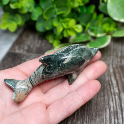 Nine Dragon Jade Dolphin