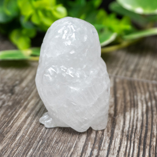 Quartz Owl Medium