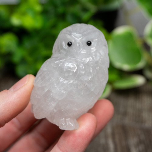 Quartz Owl Medium