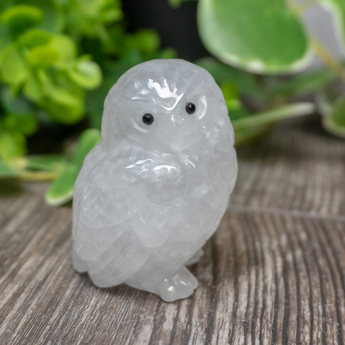 Quartz Owl Medium