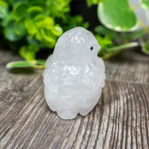 Quartz Owl Medium