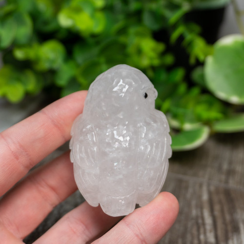 Quartz Owl Medium