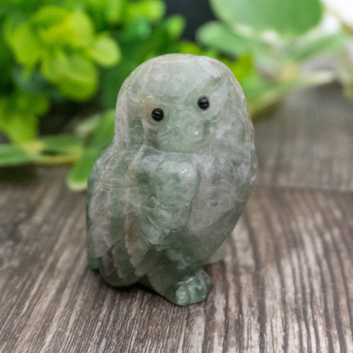 Fluorite Owl Medium