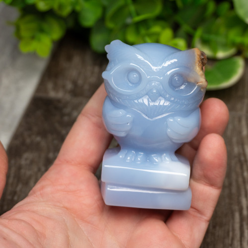 Blue Chalcedony Owl With Glasses on Books