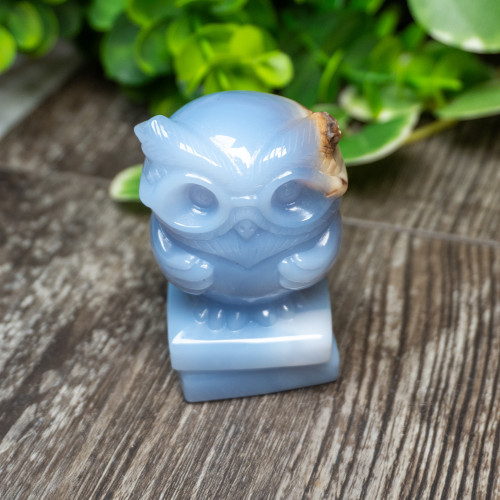 Blue Chalcedony Owl With Glasses on Books