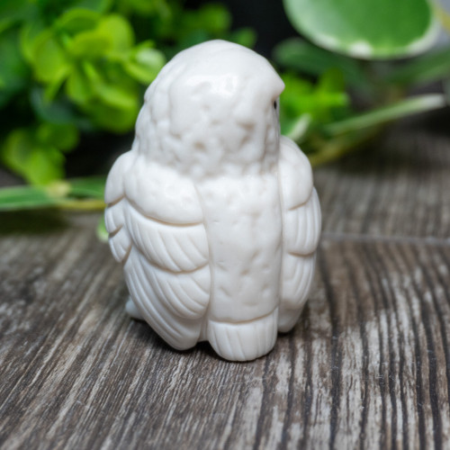 White Jade Owl Medium