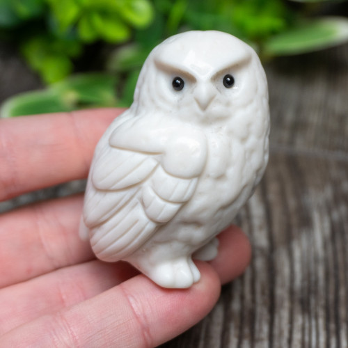 White Jade Owl Medium