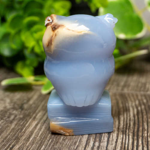 Blue Chalcedony Owl With Glasses on Books