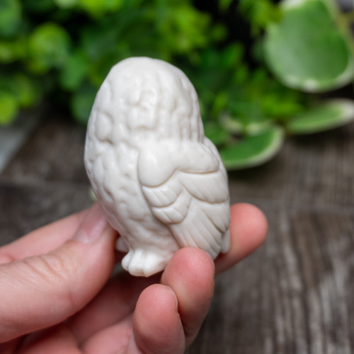 White Jade Owl Medium