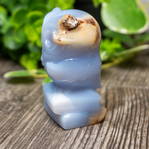 Blue Chalcedony Owl With Glasses on Books