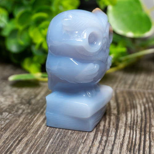 Blue Chalcedony Owl With Glasses on Books