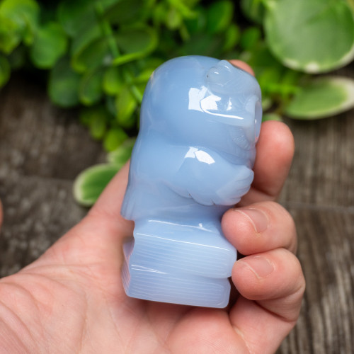 Blue Chalcedony Owl With Glasses on Books