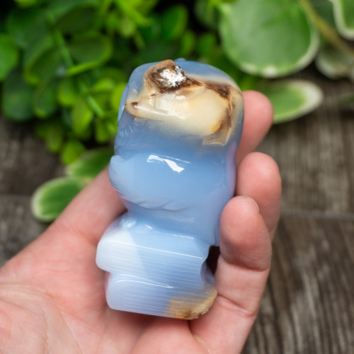 Blue Chalcedony Owl With Glasses on Books