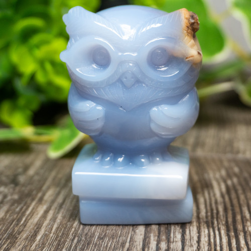 Blue Chalcedony Owl With Glasses on Books