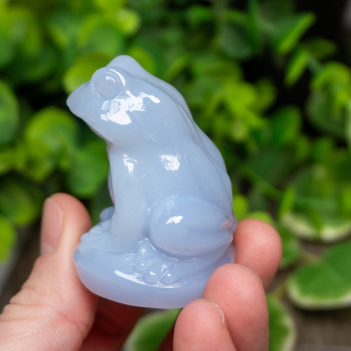 Blue Chalcedony Frog Medium