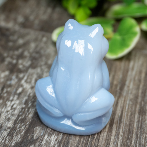 Blue Chalcedony Frog Medium