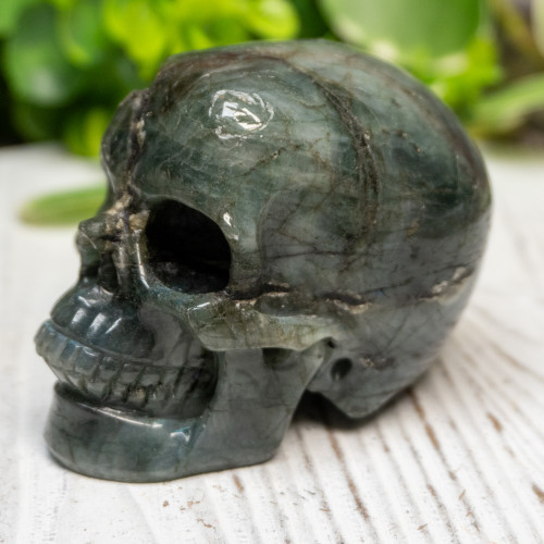 Labradorite Skull Medium