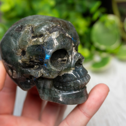 Labradorite Skull Medium