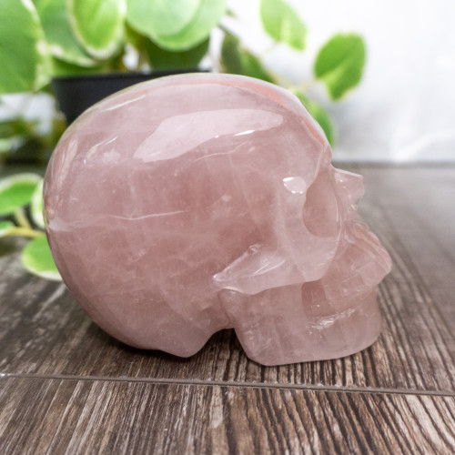 Rose Quartz Large Skull