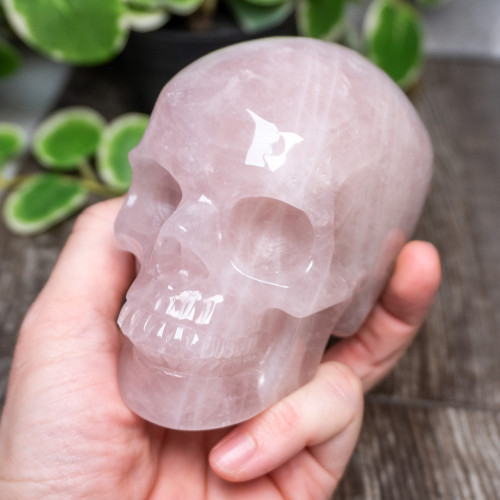 Rose Quartz Large Skull