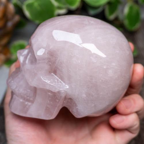 Rose Quartz Large Skull