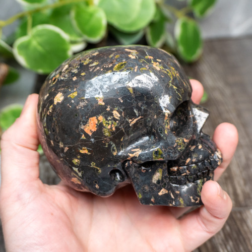 Black Rhyolite Large Skull