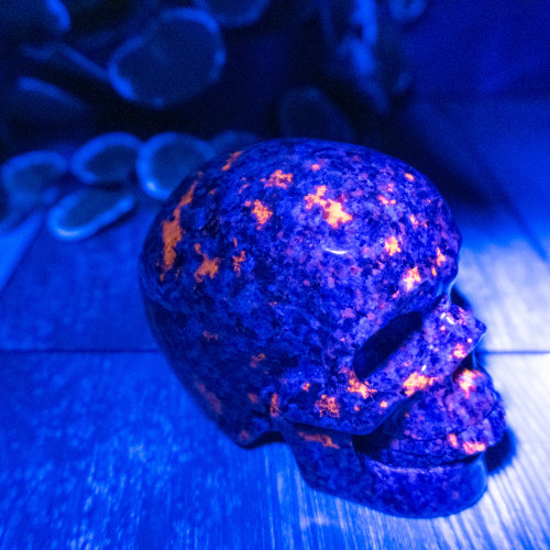 UV Sodalite Large Skull