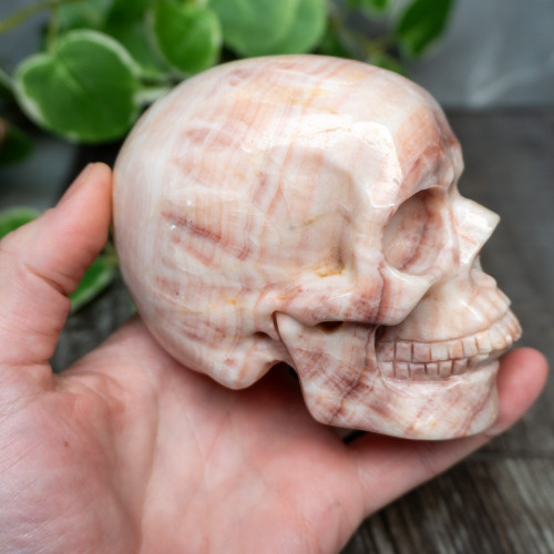 Peach Calcite Large Skull