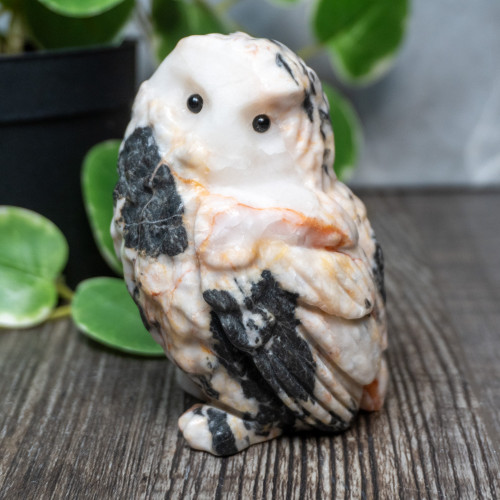 Pink Zebra Jasper Large Owl