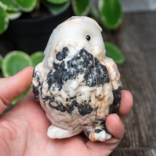 Pink Zebra Jasper Large Owl