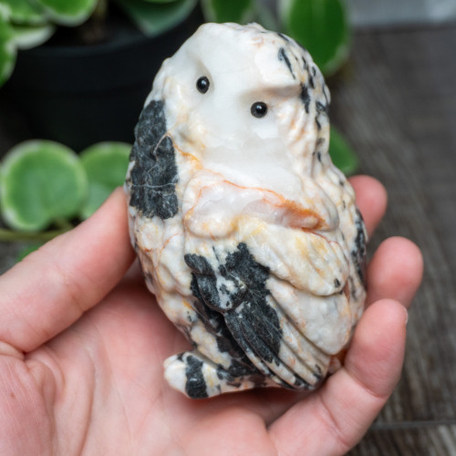 Pink Zebra Jasper Large Owl