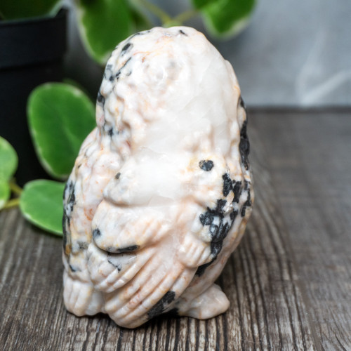 Pink Zebra Jasper Large Owl