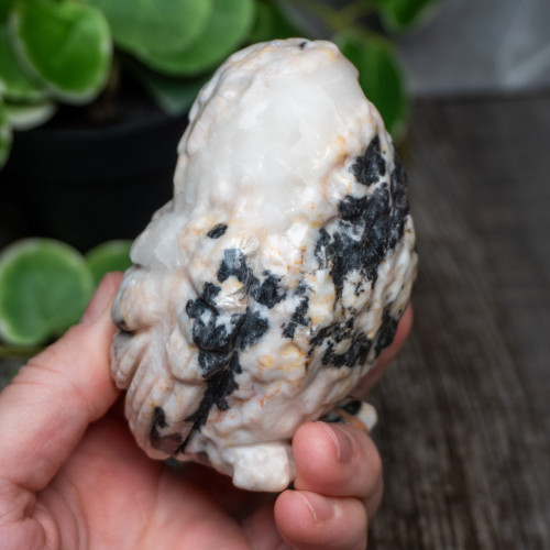 Pink Zebra Jasper Large Owl