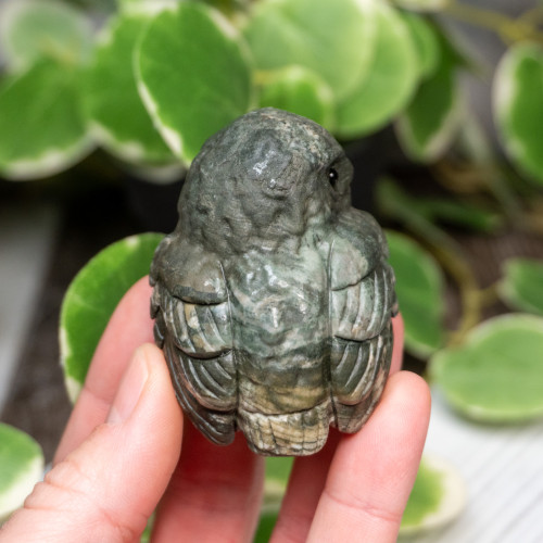 Nine Dragon Jade Owl Medium Owl