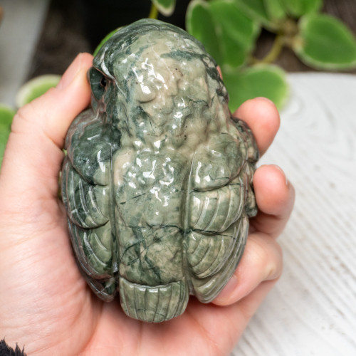 Nine Dragon Jade Large Owl
