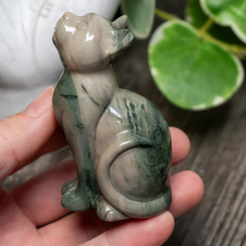 Nine Dragon Jade Cat
