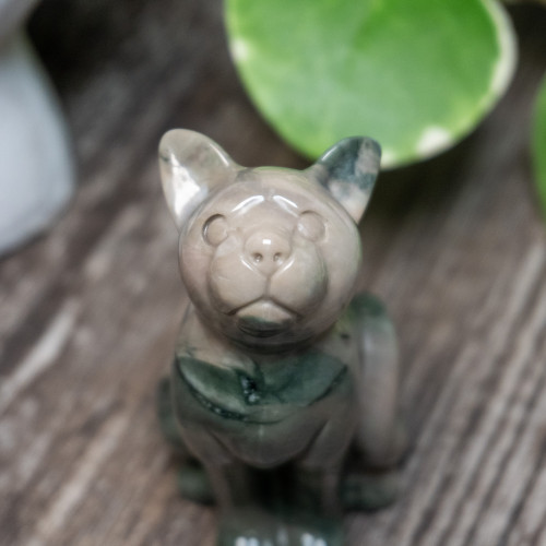 Nine Dragon Jade Cat