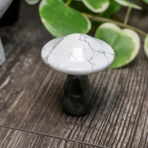 Nine Dragon Jade & Howlite Mushroom