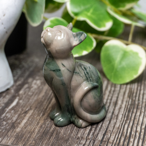 Nine Dragon Jade Cat