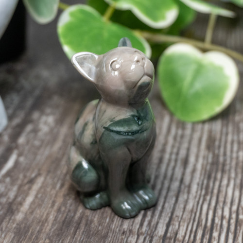 Nine Dragon Jade Cat