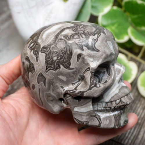 Silver Lace Agate Skull Large