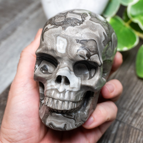 Silver Lace Agate Skull Large