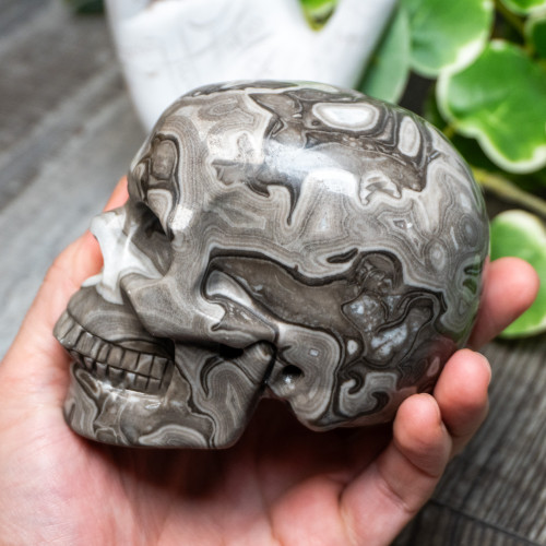 Silver Lace Agate Skull Large