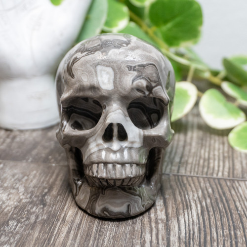 Silver Lace Agate Skull Large