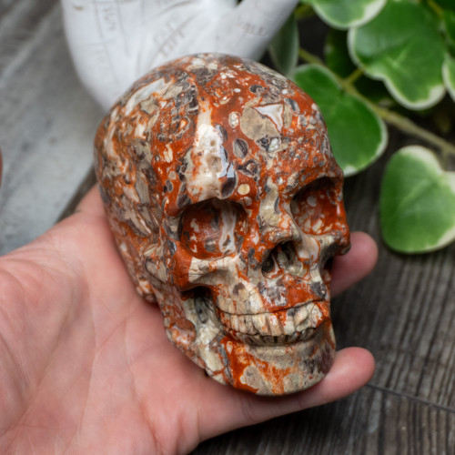 Red Rhyolite Skull Large